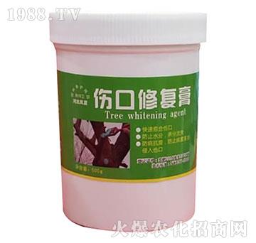 �����ޏ�(f��)��-�ӱ��P��