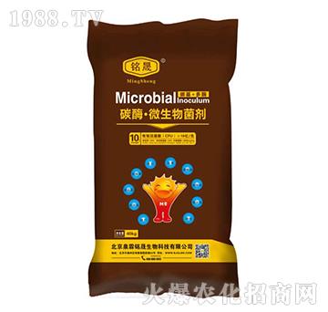 10�|���̼ø��΢�������-Ȫ�����