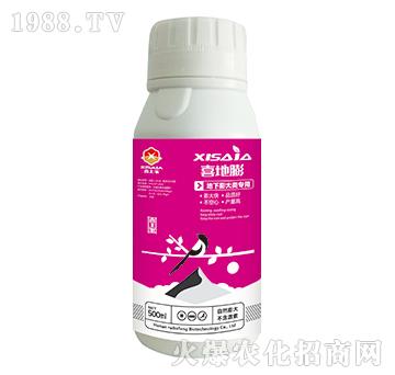 ����������ˮ�ܷ���-ϲ����-ϲ�ϼ�