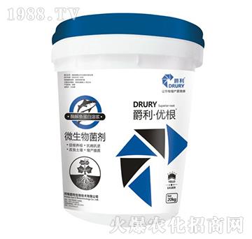 ΢�������-������(y��u)��-����