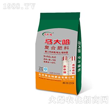 �����ͺϷ�24-8-10-�R���