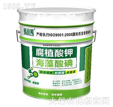 ��ֲ���-�������-��?t��ng)����? />
                                </div>
                            </div>
                            
                            <style type=