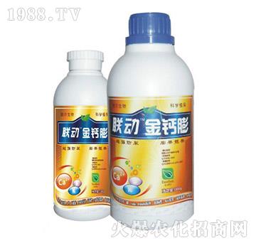 ���}��-(li��n)��-� �����