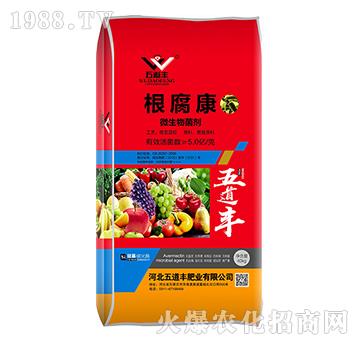 ΢�������-������-����S