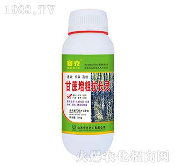 �����������L�`-ِ��-�_�_