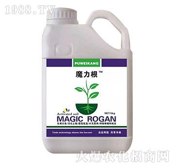 ħ����-�_(t��i)�_(d��)