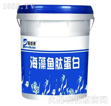 �����~�ĵ���-�վS��-�_(t��i)�_(d��)