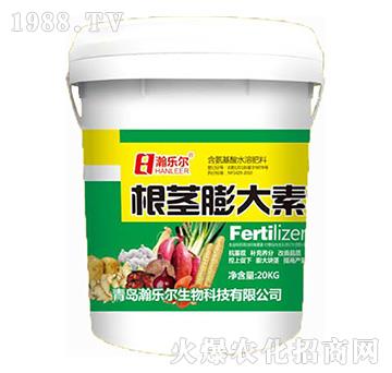 ���o�����-嫘�(l��)��