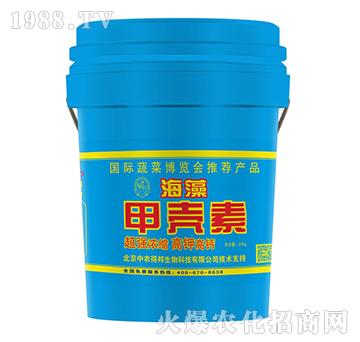 ����ך���-���w�r(n��ng)�I(y��)