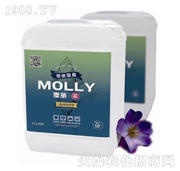 ī����-����