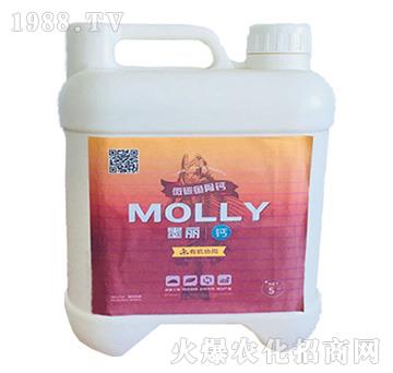 ī���~(y��)���}-����