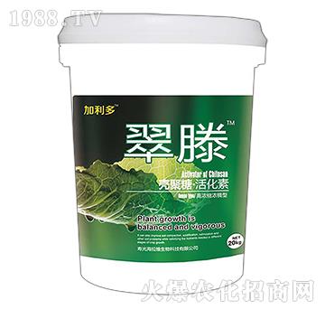 �����ǻ��-����-������-�����S