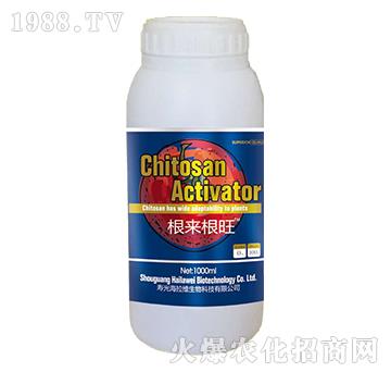 ����(l��i)����-�����S