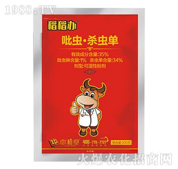 35%���x�����x��-��