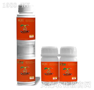 5%���x��+10%��Ч