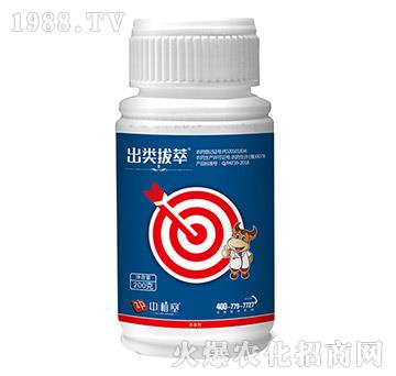 5%ʭ����-�����-