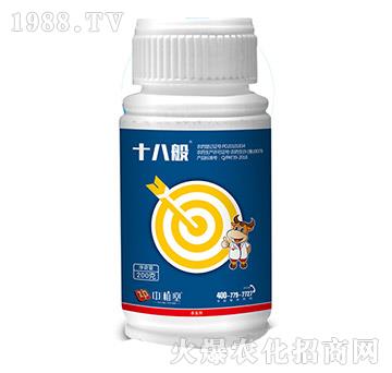 5%�׾S�����ȷ�-ʮ��