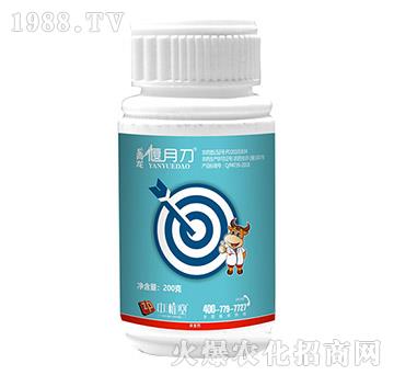 0.5%�װ������S����