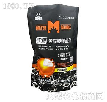 �VԴ�S����⛾���-������