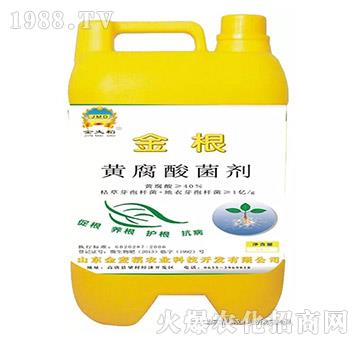 �S����Һ�w����-������