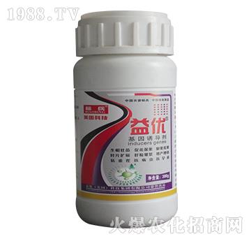 �����T����-�惞(y��u)-���S��