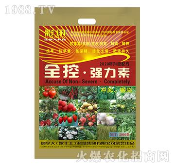 ���bȫ�ء�������-���S��