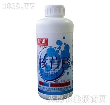 ������-��Ӎ-���S��