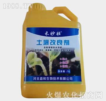 ����������-�����-�W��ֲ��