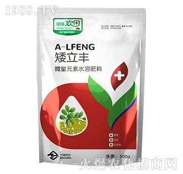 矮立豐-中瑞歡田-中瑞利農