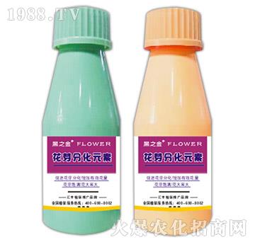 ��ѿ�ֻ�Ԫ��-��֮��-�R�Sֲ��