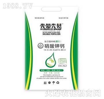 ������}-��֪���X-� �����