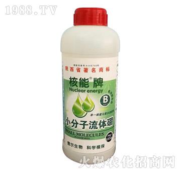 ������С�������w��-� �����