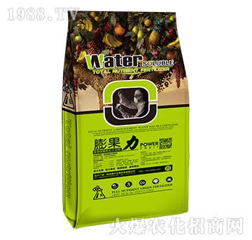 �����-� �����