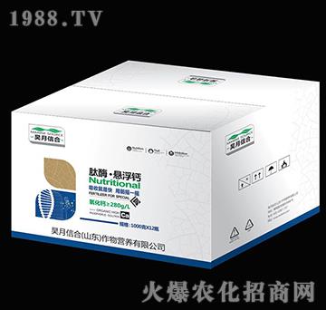 ��ø���Ҹ��}-����ź�