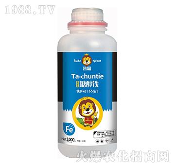 �Ǵ��F-��������