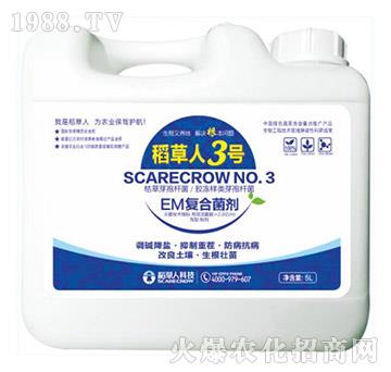 EM�ͺϾ���-������3̖-������