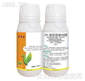 24-���|̦�؃�(n��i)��-�|�S��