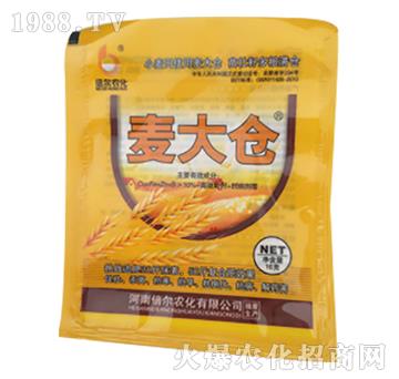 ����}-����