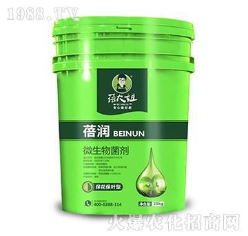 �������~��΢�������-�흙-�����