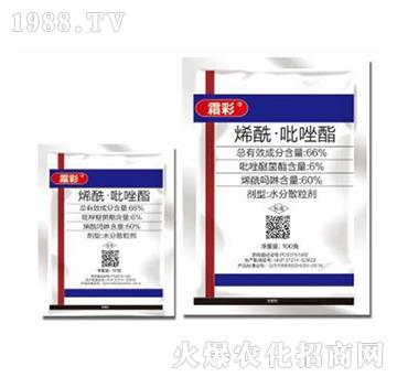 66%ϩ����������-˪��-�|������