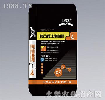 ��(f��)��΢�������-�A͢����