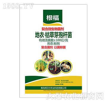 ���¿ݲ�ѿ�ߗU��-�ͺ�΢�������-����-��ؐ��