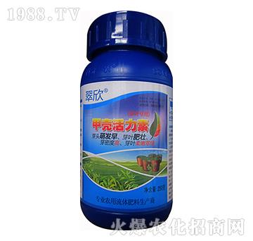 �ך�������-����-����