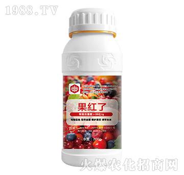 ���t��-��ֲ(li��n)��