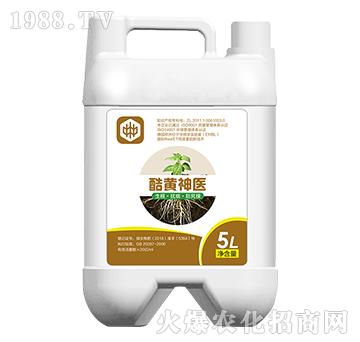 ���S���t(y��)�������������ã�-��ֲ(li��n)��