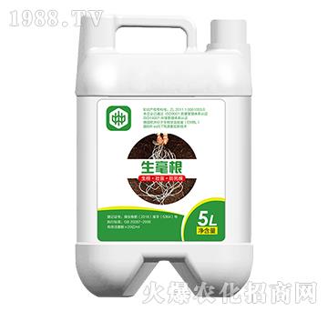 ������-��ֲ��