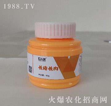 長(zhǎng)皮長(zhǎng)肉-巨人城