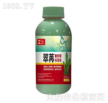 �����Ǵ���1000g��-��������