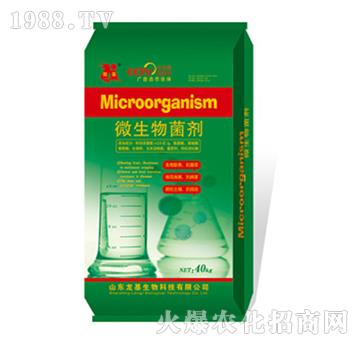 ΢�������-��������