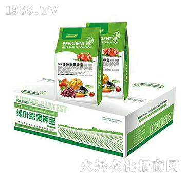 �G�~���⛌�-�ٝ�-������